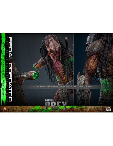 Hot Toys Prey 1/6 Feral Predator...