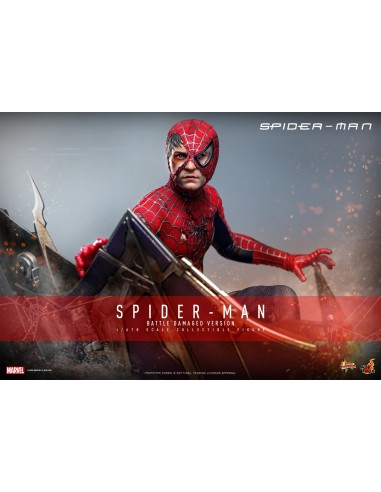 Hot Toys Spider-Man Movie Masterpiece...