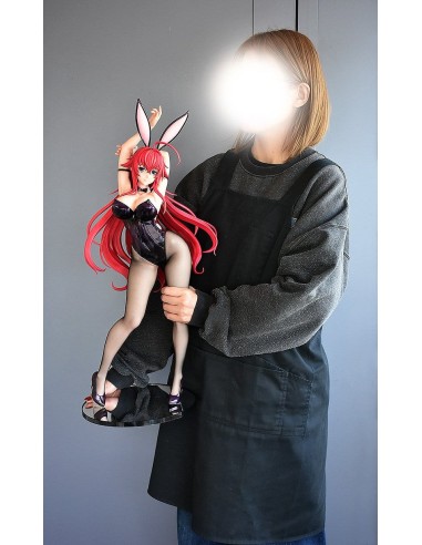 FREEing High School DxD Hero 1/3 Rias...