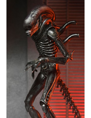 Neca Alien Romulus Xenomorph XX121
