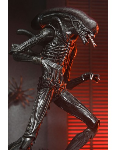 Neca Alien Romulus Xenomorph XX121