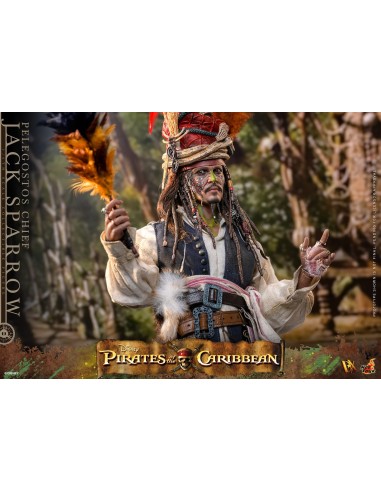 Hot Toys Pirates of the Caribbean...
