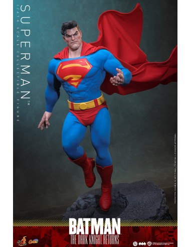 Hot Toys Batman The Dark Knight...