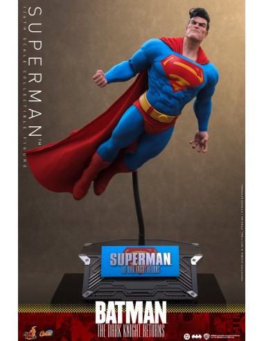 Hot Toys Batman The Dark Knight...