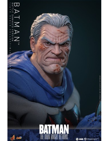 Hot Toys Batman The Dark Knight...