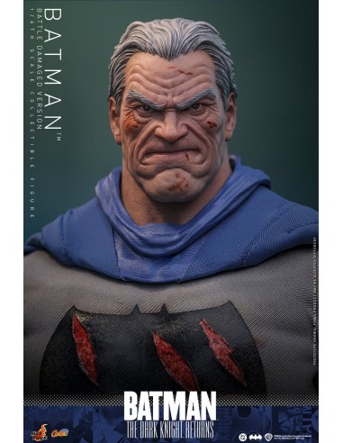 Hot Toys Batman The Dark Knight...