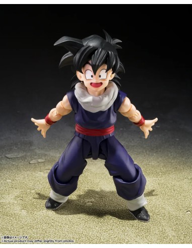 Dragon Ball Z Son Gohan Z-Fighters...