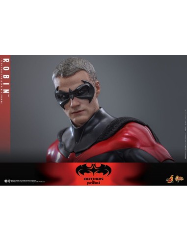 Batman & Robin Movie Masterpiece 1/6...