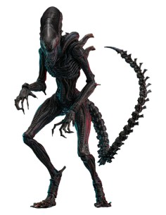 Alien Romulus Movie...