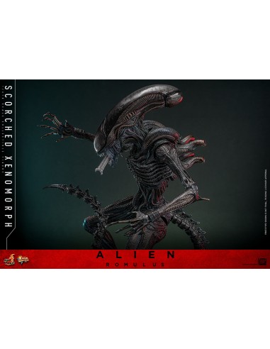 Alien Romulus Movie Masterpiece 1/6...