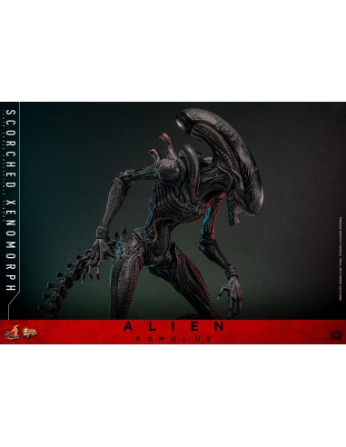Alien Romulus Movie Masterpiece 1/6...
