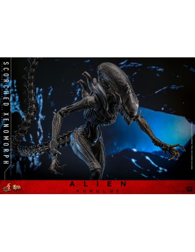 Alien Romulus Movie Masterpiece 1/6...
