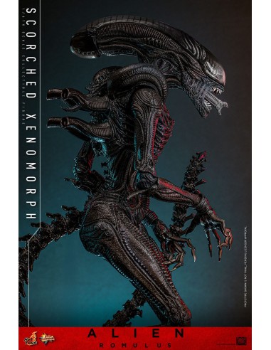 Alien Romulus Movie Masterpiece 1/6...