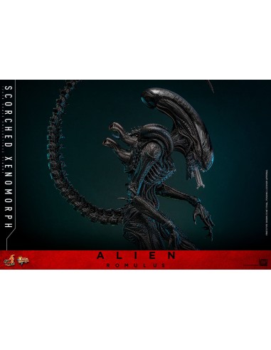 Alien Romulus Movie Masterpiece 1/6...
