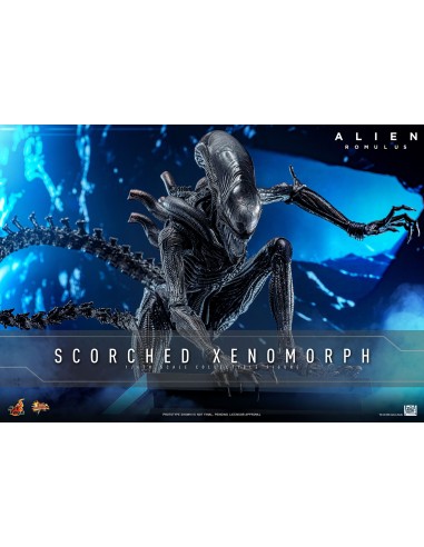 Alien Romulus Movie Masterpiece 1/6...