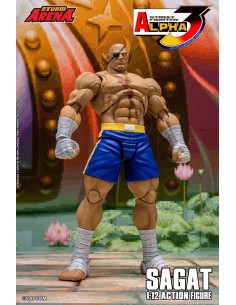 Sagat Tiger Raid Edition...