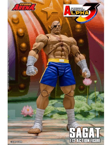 Sagat Tiger Raid Edition Street...
