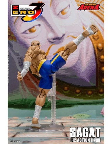 Sagat Tiger Raid Edition Street...