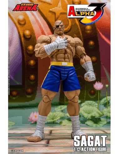 Sagat Tiger Raid Edition Street...