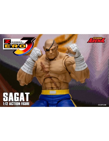 Sagat Tiger Raid Edition Street...