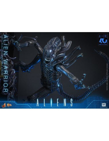 Alien Movie Masterpiece 1/6 Alien...