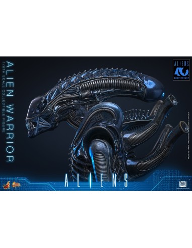 Alien Movie Masterpiece 1/6 Alien...