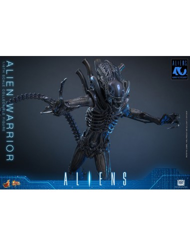Alien Movie Masterpiece 1/6 Alien...