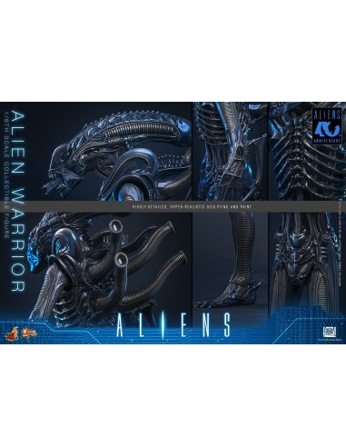 Alien Movie Masterpiece 1/6 Alien...