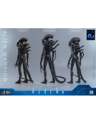 Alien Movie Masterpiece 1/6 Alien...