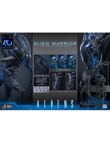 Alien Movie Masterpiece 1/6 Alien...