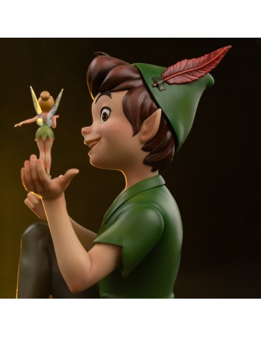 Peter Pan & Tinkerbell (1953) Art...