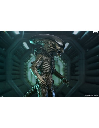 Alien: Earth Xenomorph Ultimate...