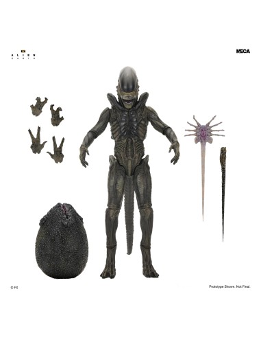 Alien: Earth Xenomorph Ultimate...
