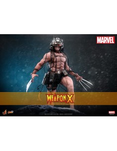 Weapon X Marvel Comic...