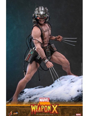 Weapon X Marvel Comic Masterpiece...