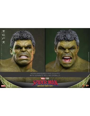 Marvel Hulk Spider-Man Brand New Day...