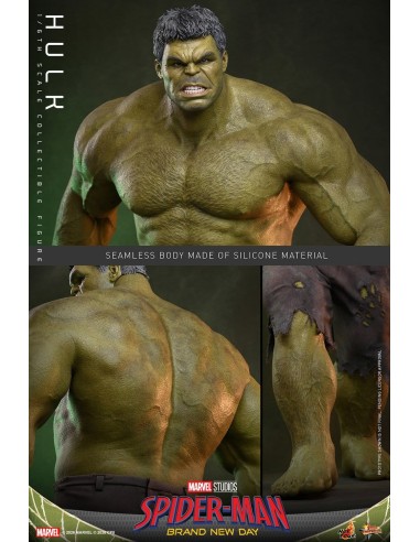Marvel Hulk Spider-Man Brand New Day...