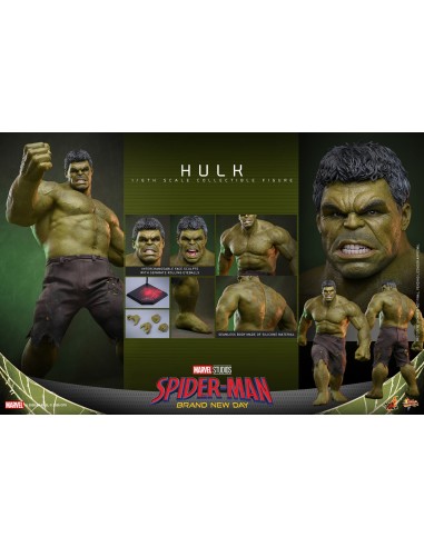 Marvel Hulk Spider-Man Brand New Day...