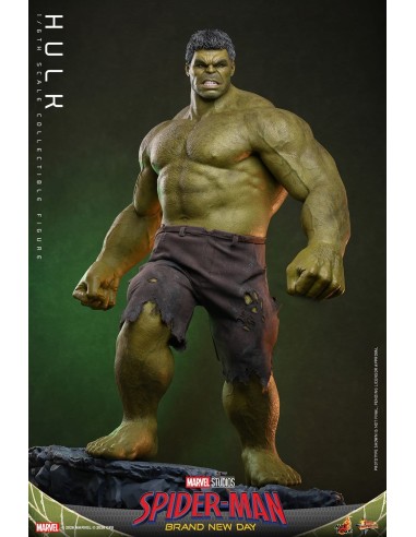Marvel Hulk Spider-Man Brand New Day...