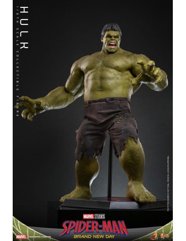 Marvel Hulk Spider-Man Brand New Day...