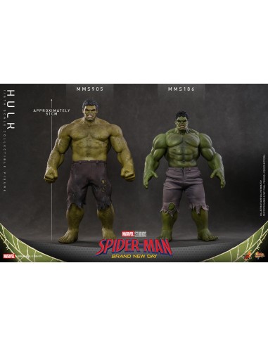 Marvel Hulk Spider-Man Brand New Day...