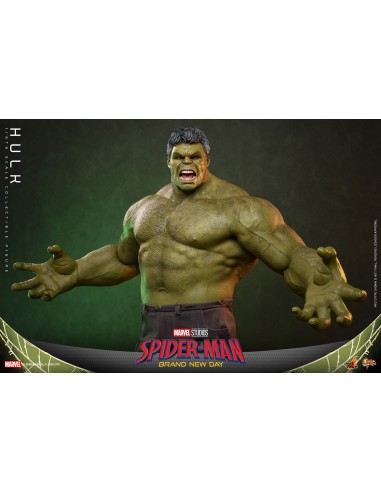 Marvel Hulk Spider-Man Brand New Day...