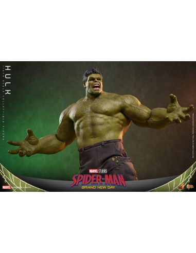 Marvel Hulk Spider-Man Brand New Day...