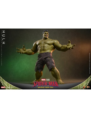 Marvel Hulk Spider-Man Brand New Day...