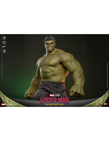Marvel Hulk Spider-Man Brand New Day...