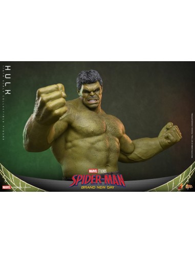 Marvel Hulk Spider-Man Brand New Day...