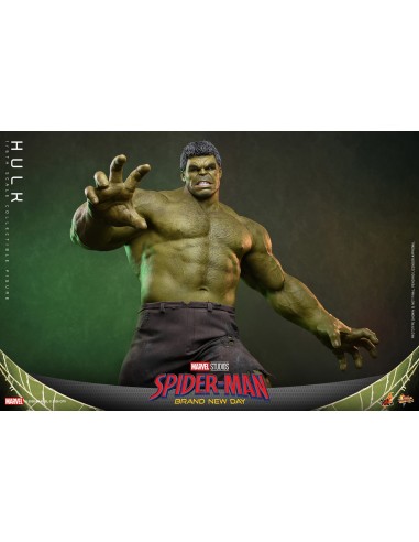Marvel Hulk Spider-Man Brand New Day...
