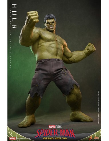 Marvel Hulk Spider-Man Brand New Day...