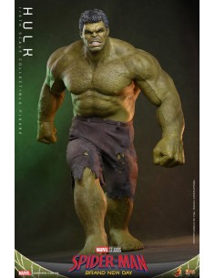 Marvel Hulk Spider-Man...