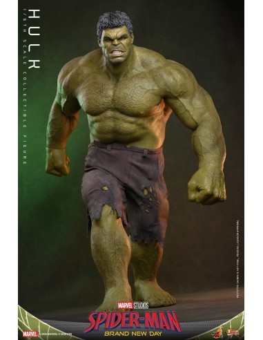 Marvel Hulk Spider-Man Brand New Day...